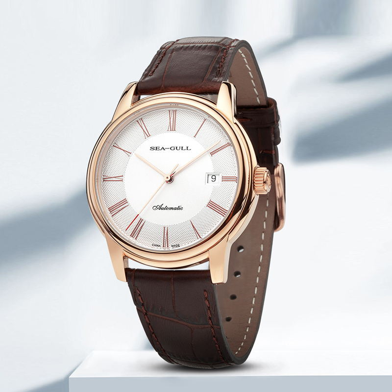 Seagull Men's Mechanical Watch - Omega Watch Constellation recension och pris