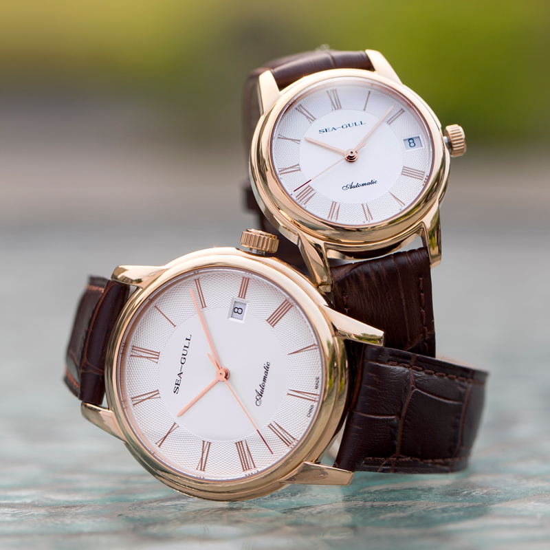 Seagull Men's Mechanical Watch - Omega Watch Constellation recension och pris